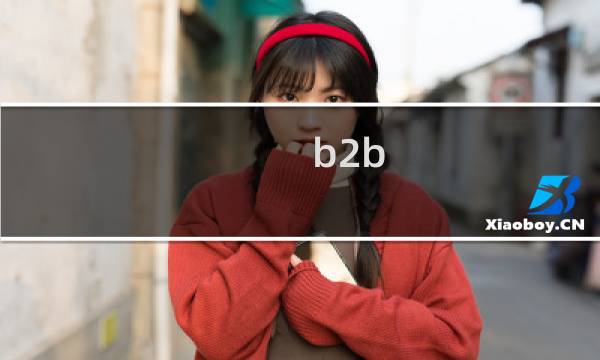b2b 发展瓶颈