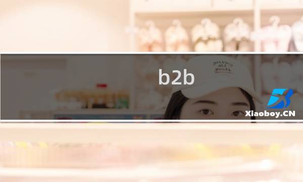 b2b 品牌管理