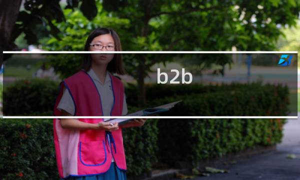 b2b 商品属性