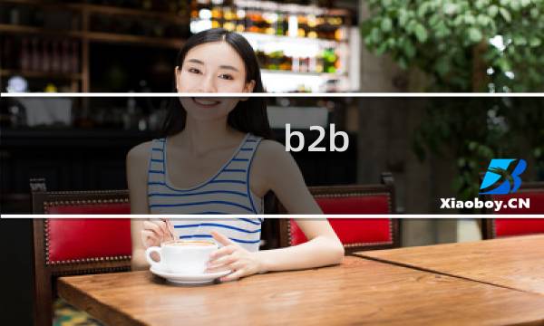 b2b 商品策略