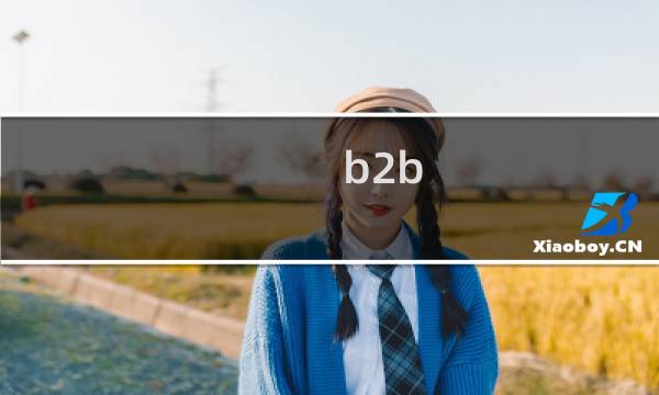 b2b 如何 招商