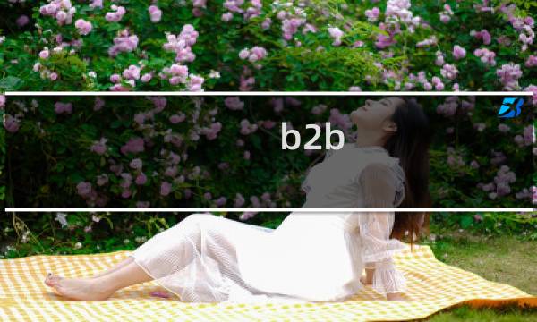 b2b 如何 推广