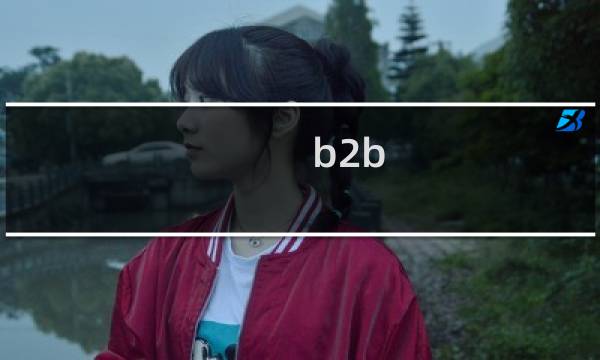 b2b 如何运营