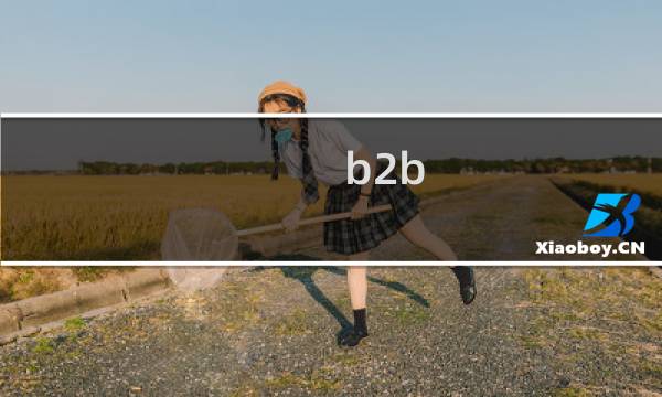 b2b 指什么