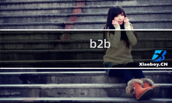 b2b 指的是
