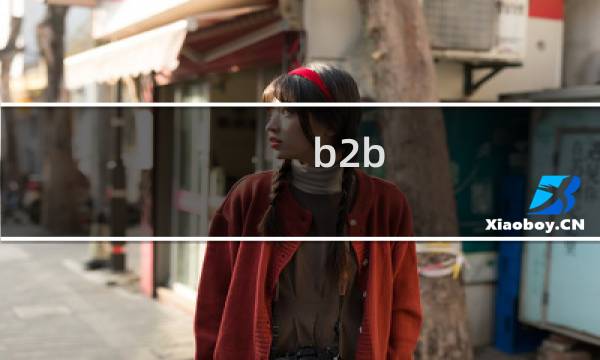 b2b 攻略