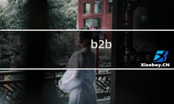 b2b 新模式
