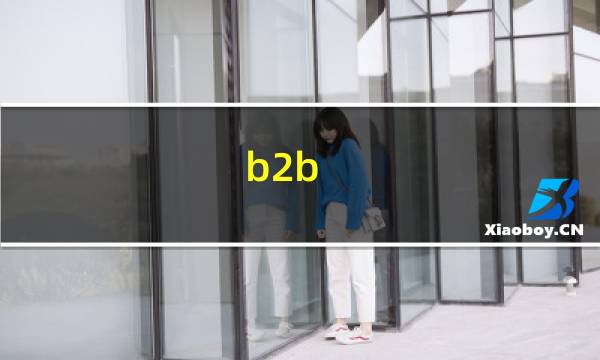 b2b 有什么