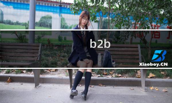 b2b 案例分析