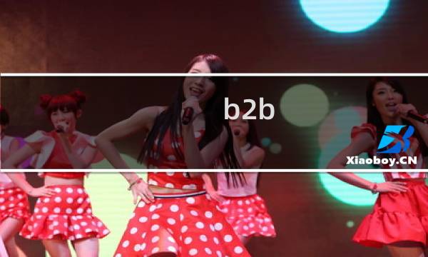 b2b 模式 服装