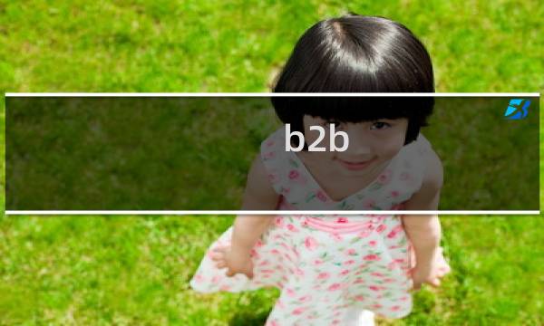 b2b 活动案例