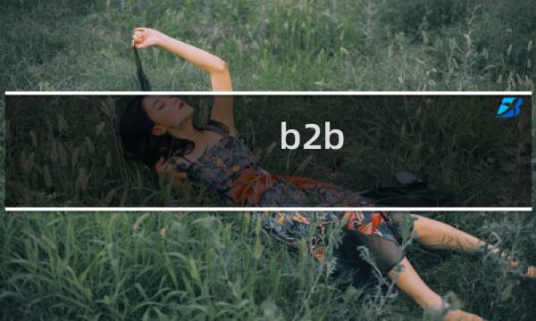 b2b 电子商务的概念