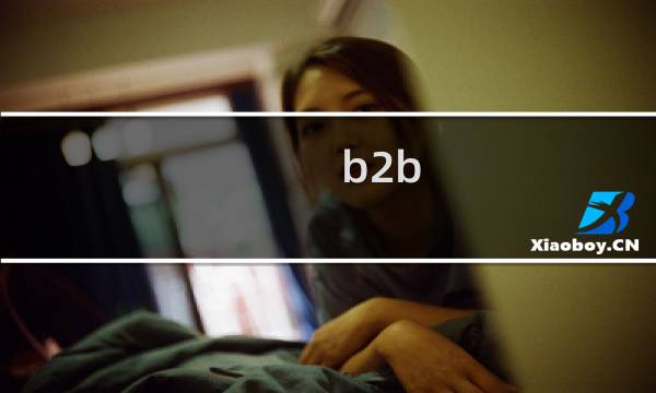 b2b 的概念