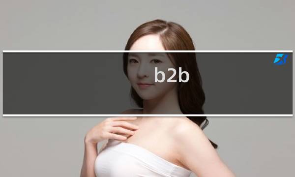 b2b 行业模式