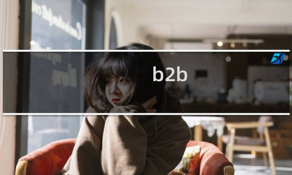 b2b 运营特点