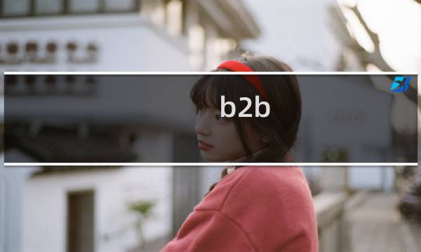 b2b 返利模式