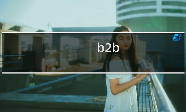 b2b 2什么意思