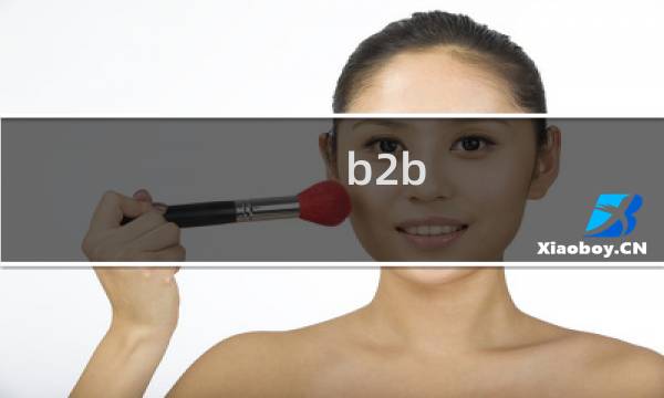 b2b b2c 哪个好做