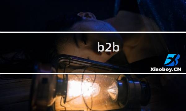 b2b b2c 哪个好