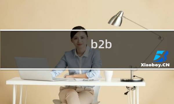 b2b b2c 是什么