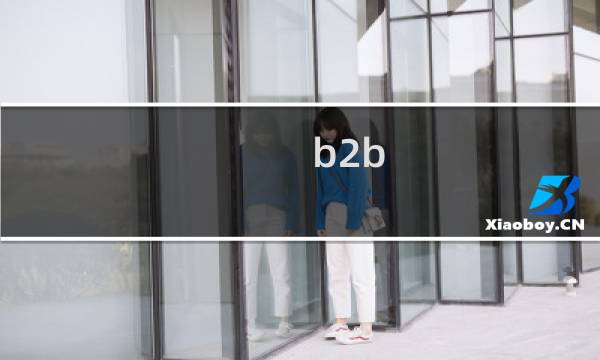 b2b b2c 的区别