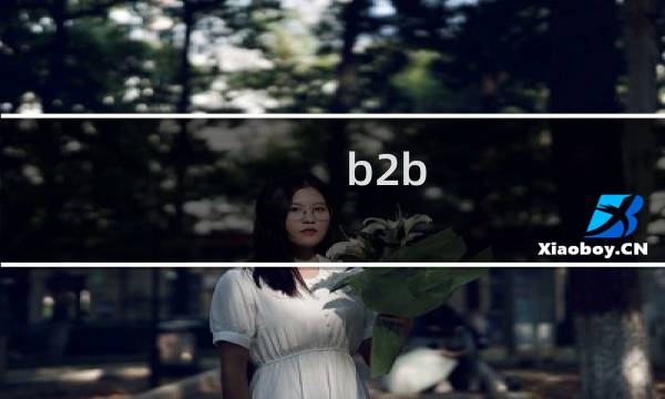 b2b b2c 的特点