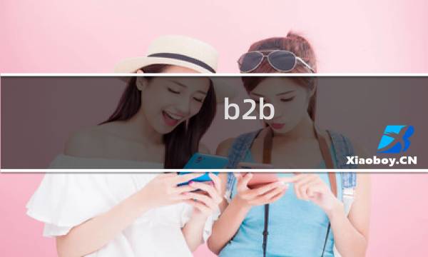 b2b b2c c2c是什么意思