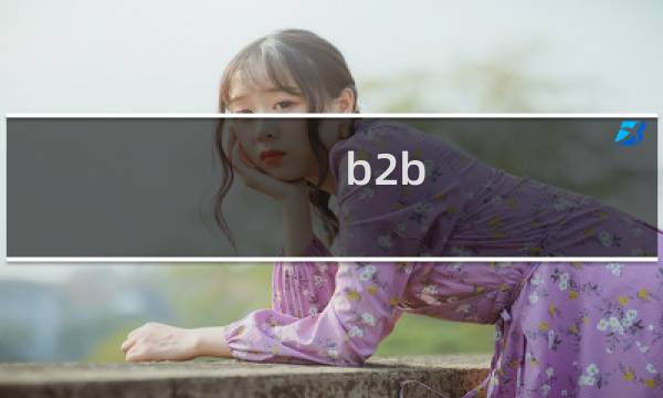 b2b b2c优势