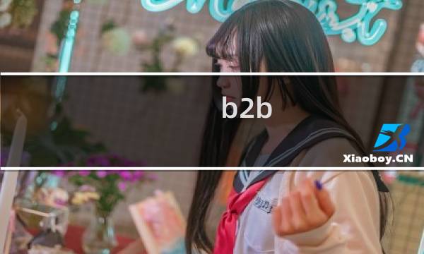 b2b b2c例子