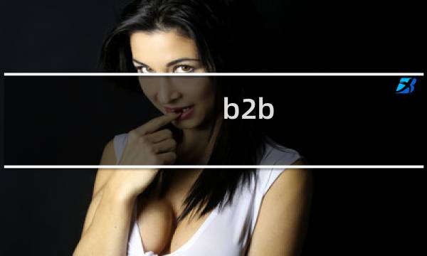 b2b b2c讲解