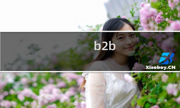 b2b b2c运作区别