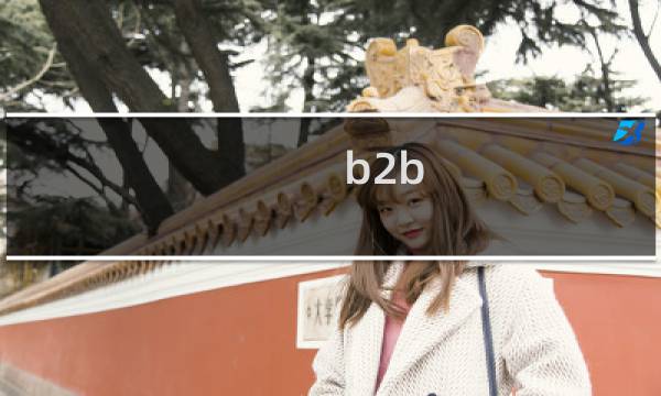 b2b erp优势
