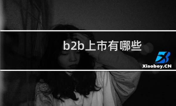 b2b上市有哪些