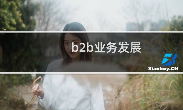 b2b业务发展