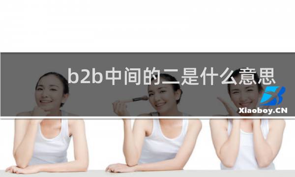 b2b中间的二是什么意思