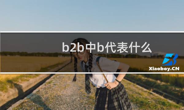 b2b中b代表什么