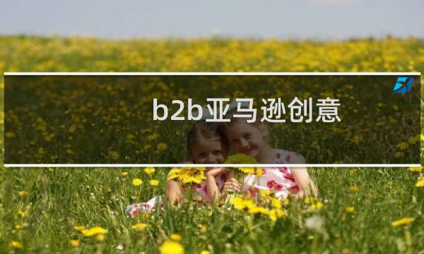 b2b亚马逊创意