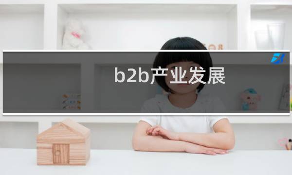 b2b产业发展