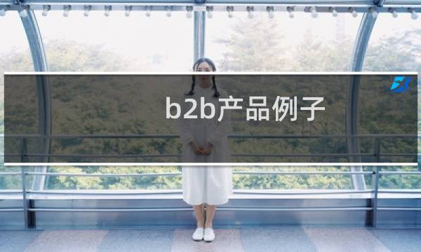 b2b产品例子