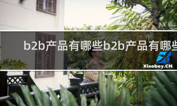 b2b产品有哪些b2b产品有哪些