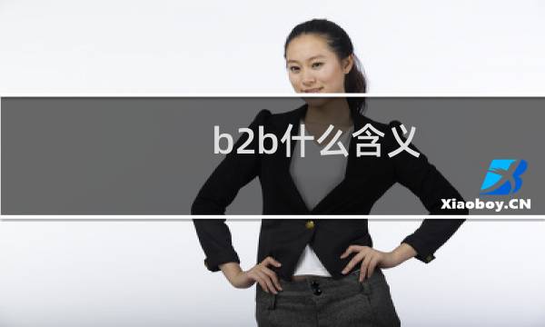 b2b什么含义