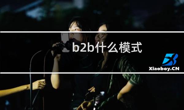 b2b什么模式