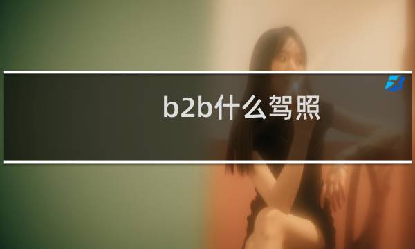 b2b什么驾照