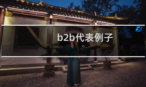 b2b代表例子