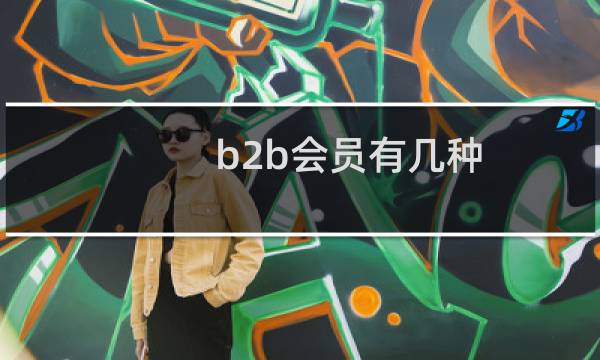 b2b会员有几种