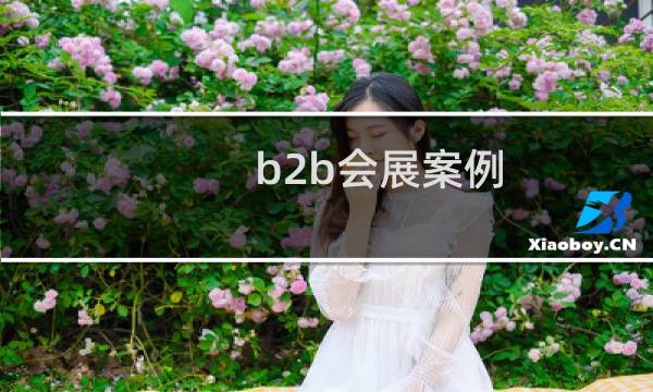 b2b会展案例