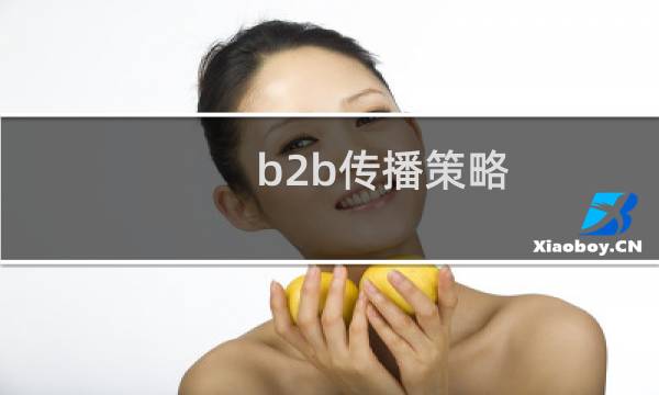 b2b传播策略