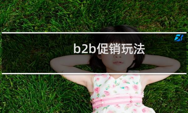 b2b促销玩法