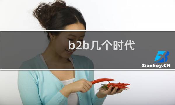 b2b几个时代
