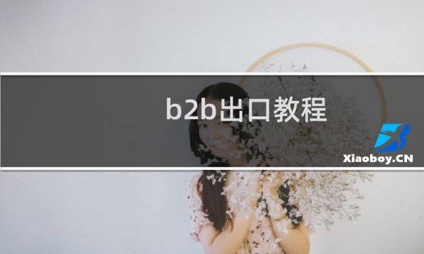 b2b出口教程